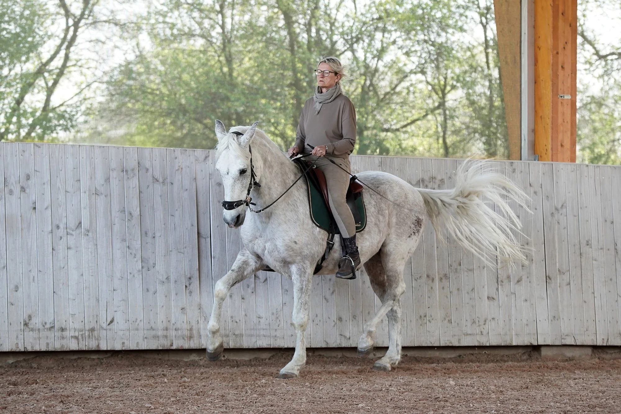 Sibylle Vahl von Reiten im Miteinander in Südniedersachsen, wie sie mit einem PRE reitet.