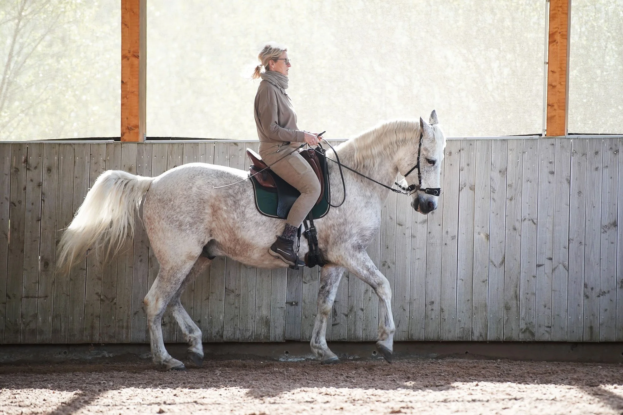 Sibylle Vahl von Reiten im Miteinander in Südniedersachsen, wie sie auf einem Pferd nach akademischer Reitkunst reitet.