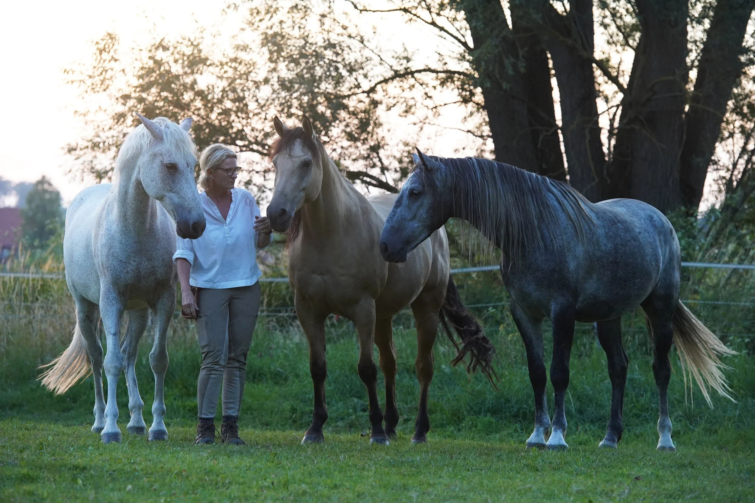 Sibylle Vahl von Reiten im Miteinander mit ihren drei Pferden steht harmonisch auf einer Weide in Südniedersachsen.