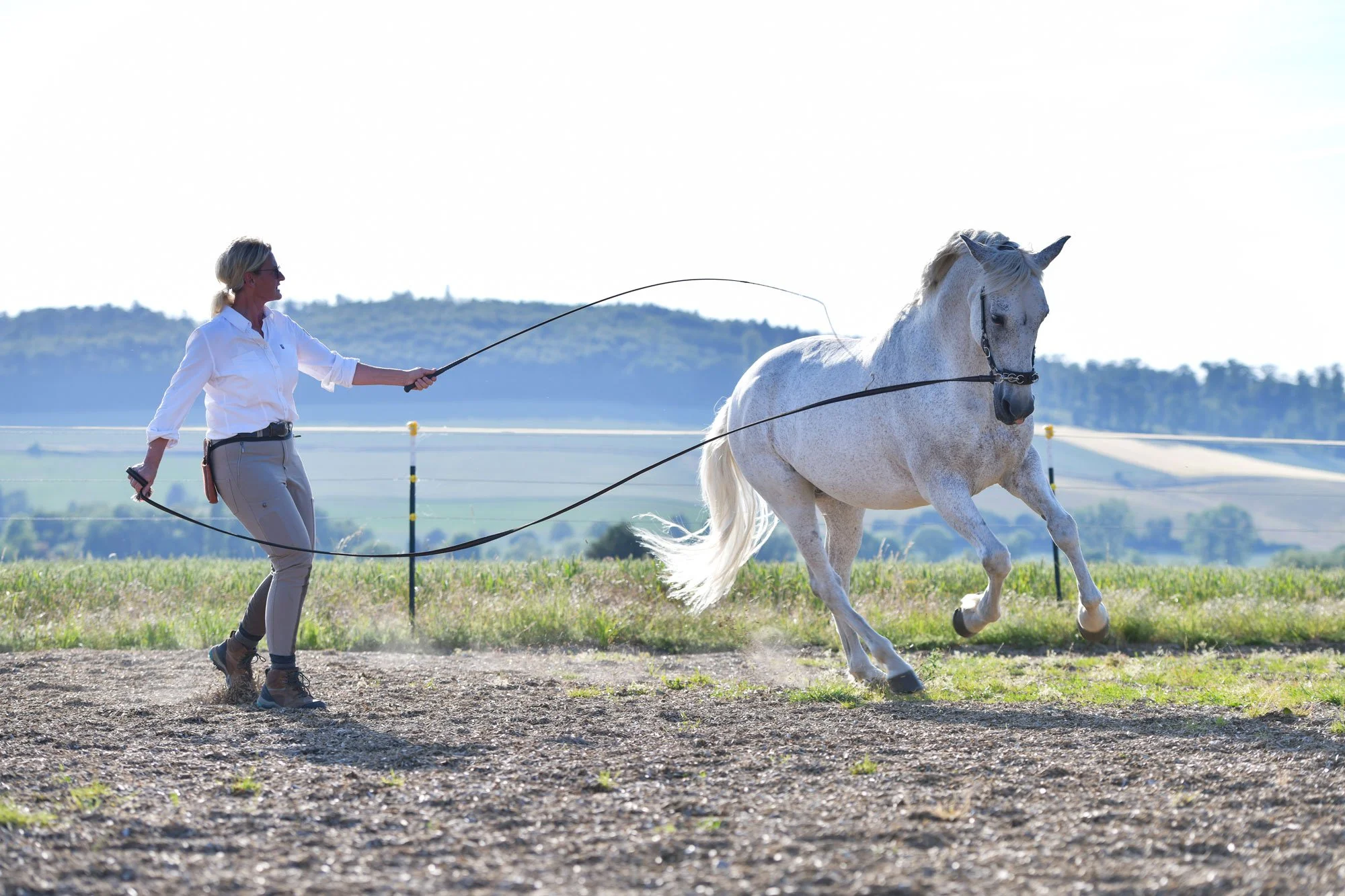 Sibylle Vahl von Reiten im Miteinander in Südniedersachsen, wie sie mit einem Pferd Longenarbeit nach akademischer Reitkunst macht.