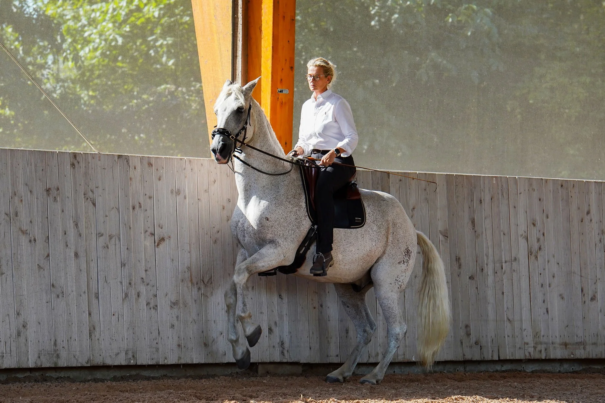 Sibylle Vahl von Reiten im Miteinander in Südniedersachsen, wie sie auf ihrem Pferd nach akademischer Reitkunst reitet.
