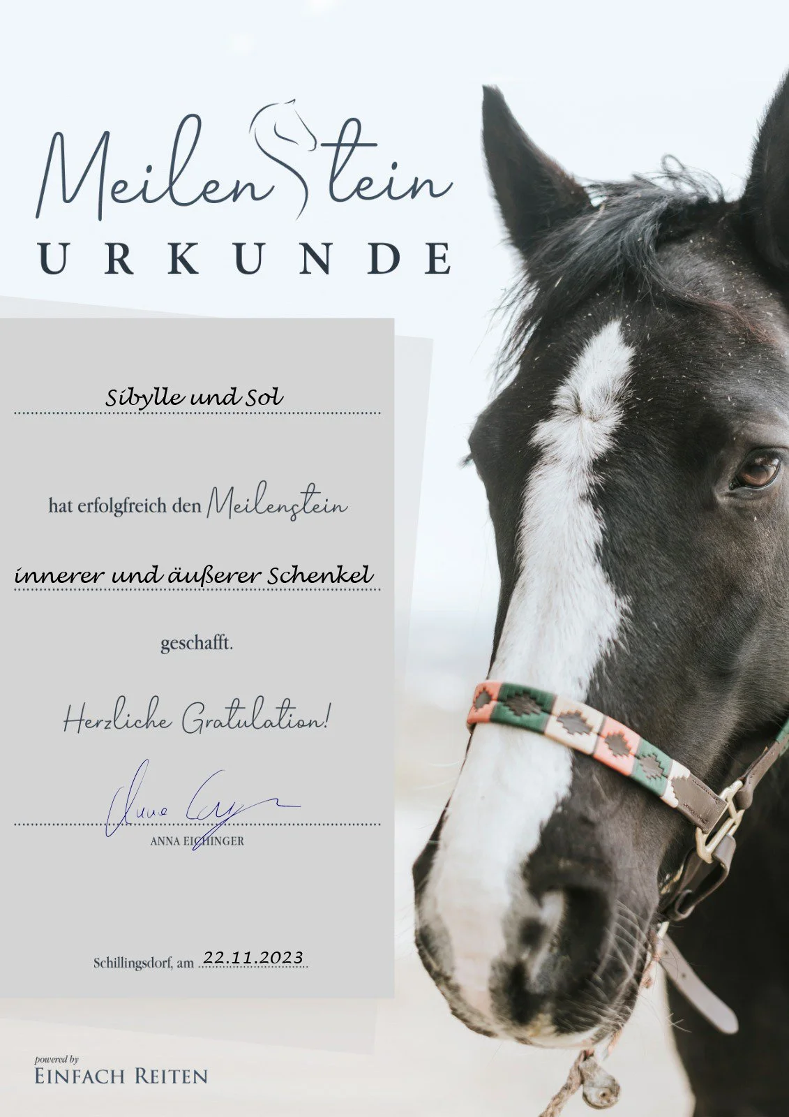 A certificate of achievement for a horse named Sibylla and Sol, awarded for successfully completing a milestone, signed by Anna Eichinger, dated November 22, 2023, with a close-up of a black and white horse wearing a colorful halter.