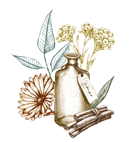 Un dibujo de un jarrón con flores y ramas secas, con hojas verdes y un nombre "JUNIOR" en la etiqueta