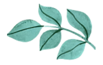 Rama con varias hojas verdes.