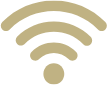 Wi-Fi signal icon