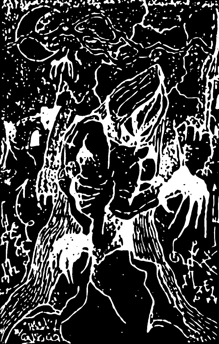 Bestial Summong "Official live tape" MC