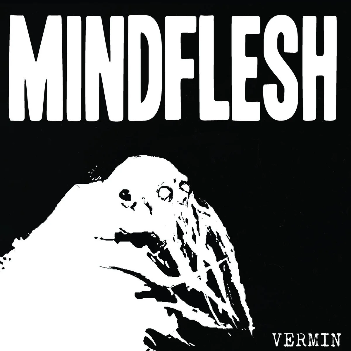 mindflesh vermin lp.jpg