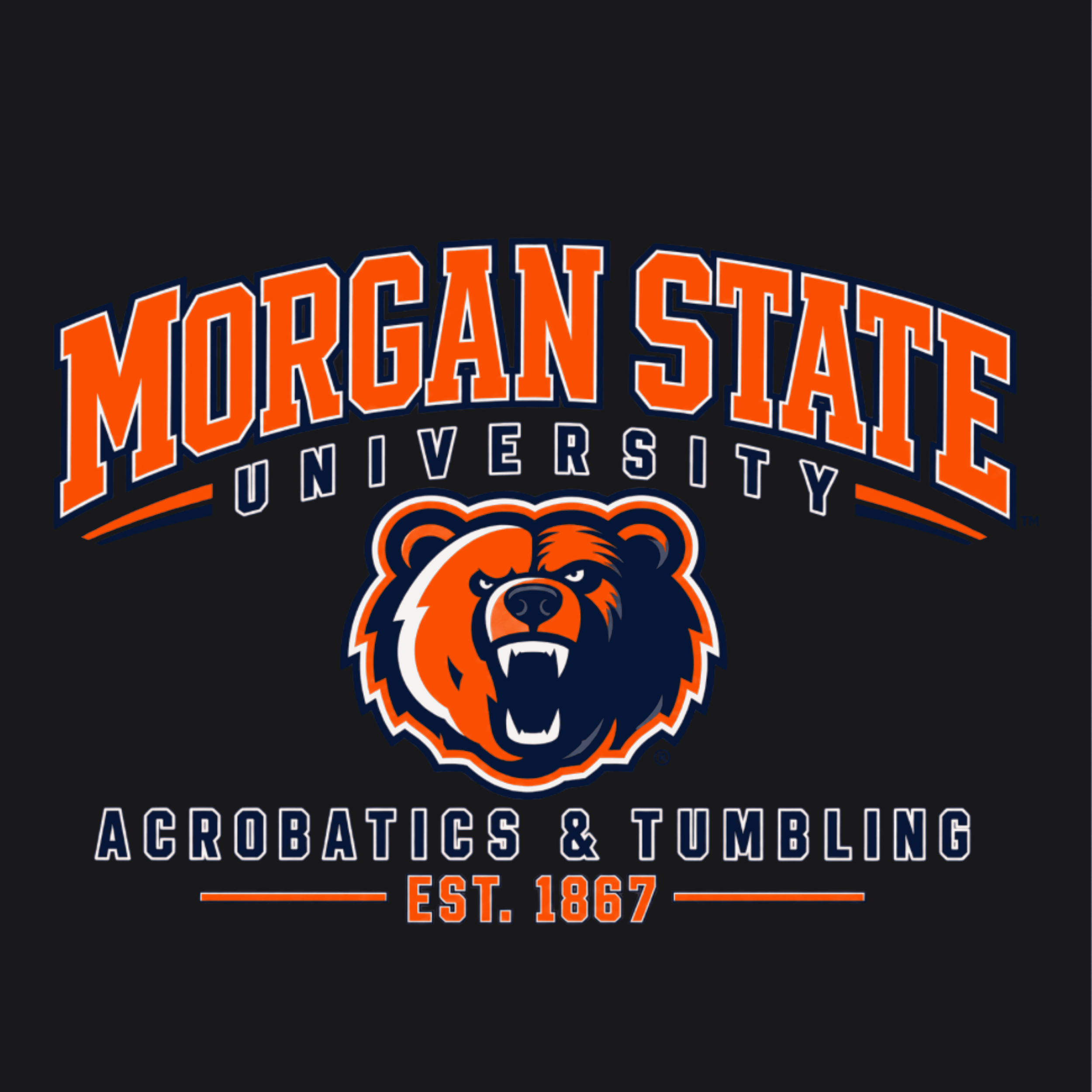 MSU T-shirt, Crew Neck, Hoodie