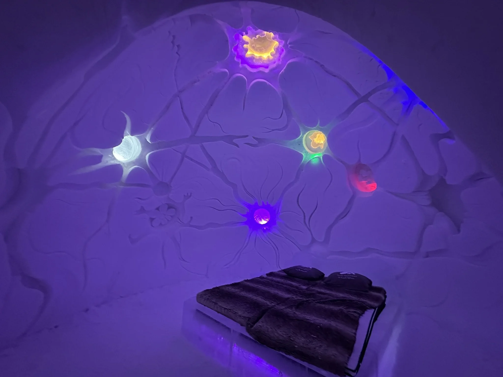 Day Tour vs.Overnight Stay