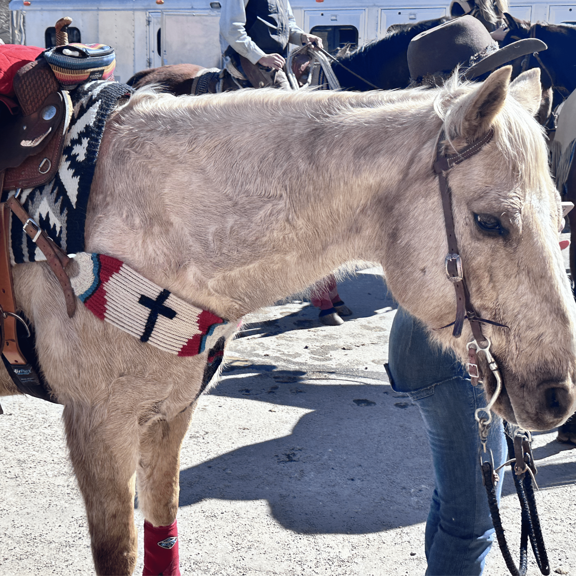 leadville-skijoring-horse-equipment-what-to-expect-first-timer-604eeeeb7239a3a6e36f033675dde61a.png