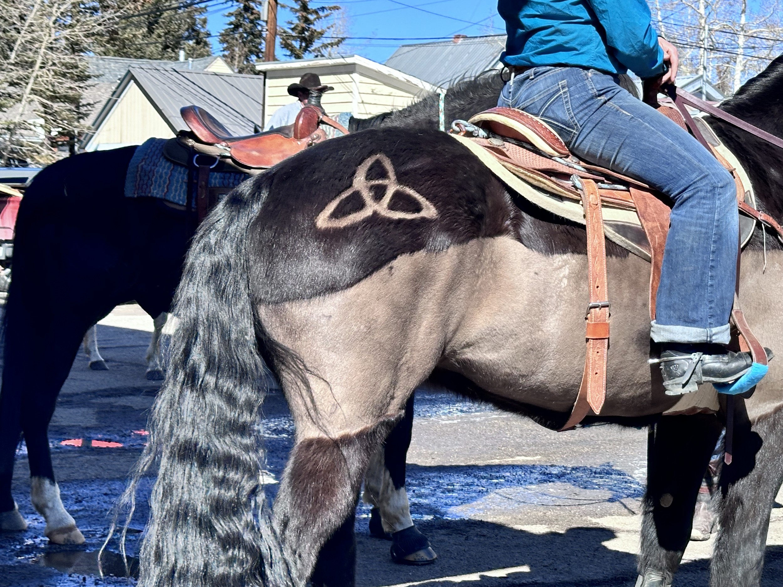 Solo woman traveler in Western wear with horse at Leadville Skijoring Colorado - adventure for travelers over 40 who stopped postponing bucket list trips