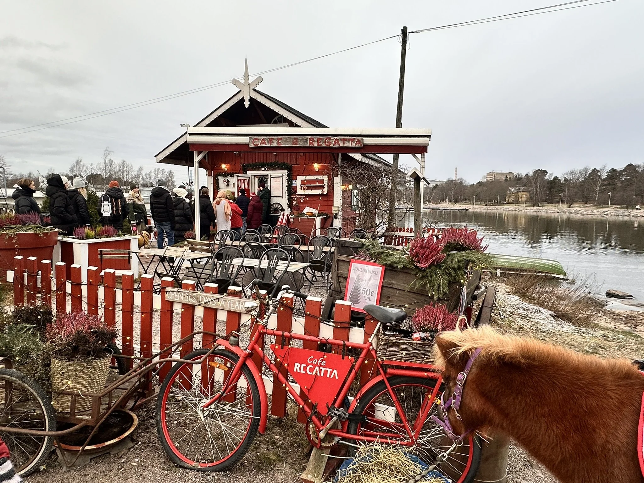 Café Regatta Helsinki: Is This Waterfront Café Worth It?