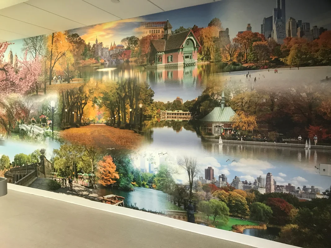 New York Proton Center
