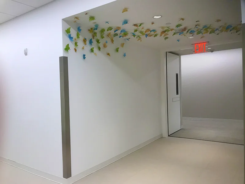 New York Proton Center
