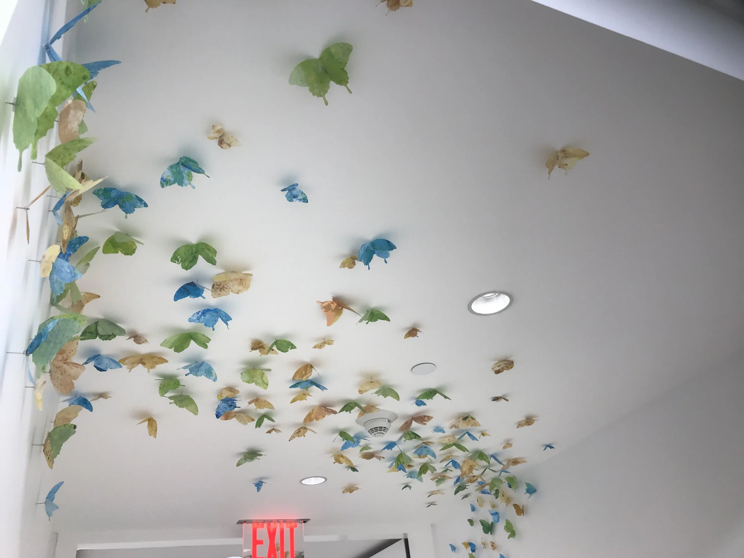 New York Proton Center