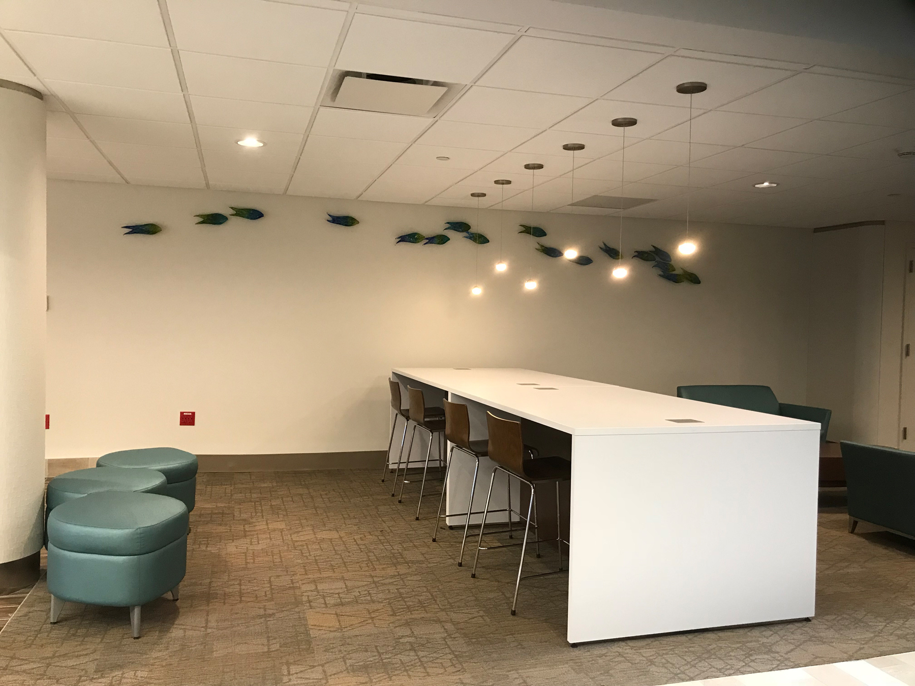 Northwell Health Southside Hospital