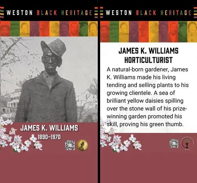 Banners_0001_Layer 23.jpg