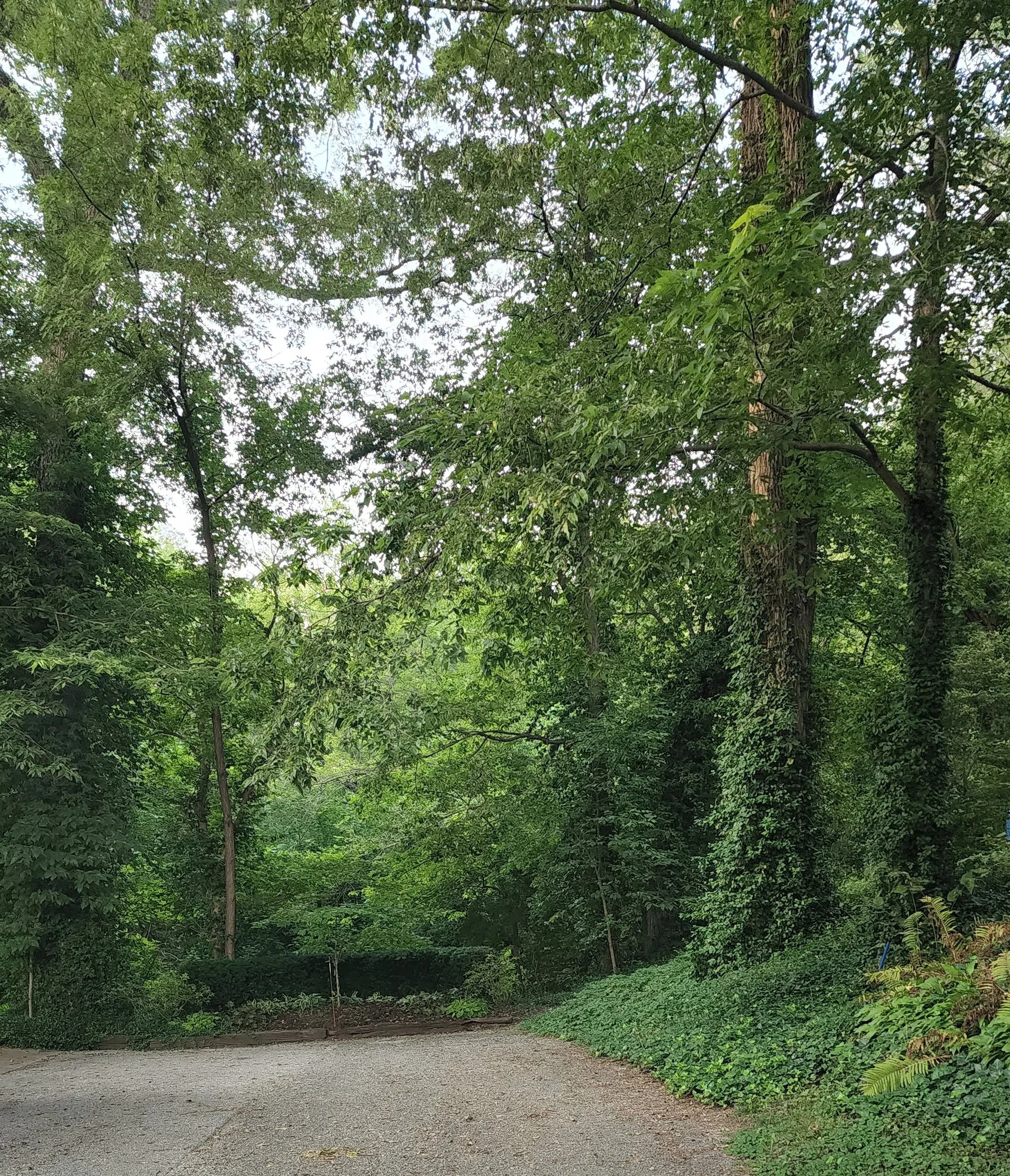 Stop 6 - Site of George Washington Ellis Home