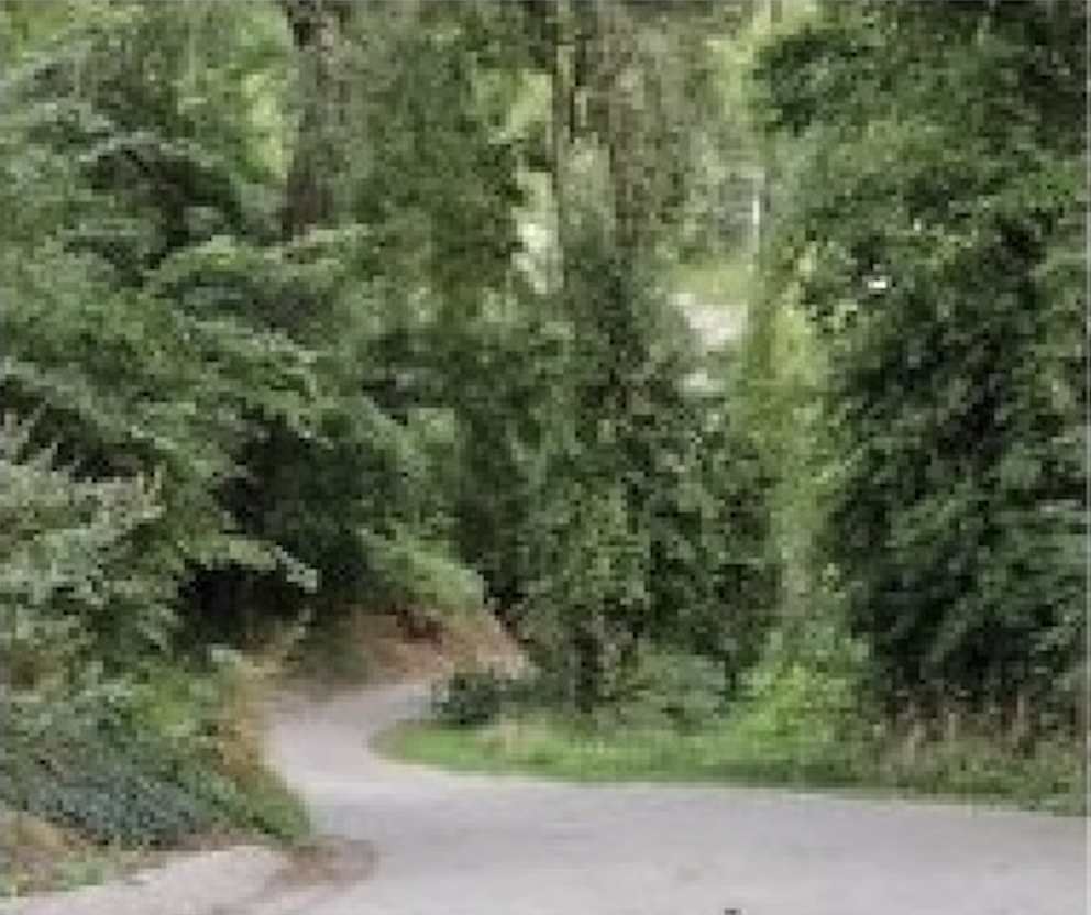 Stop 6 - Site of George Washington Ellis Home