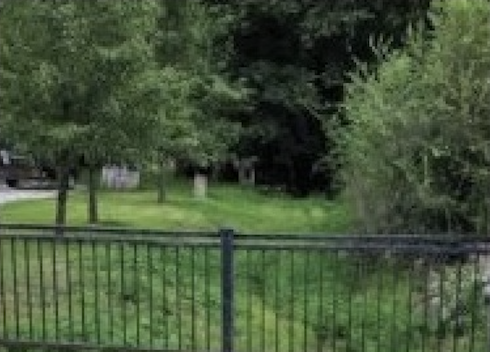 Stop 5 - Wells' Grove 