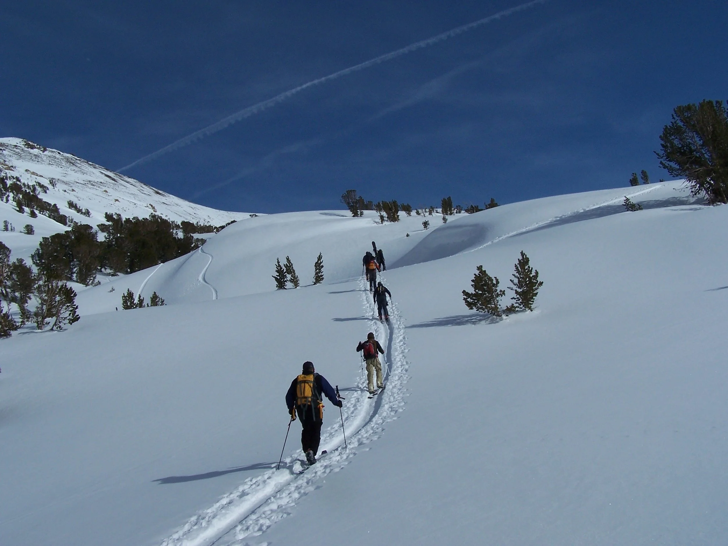 Group of five hikers trekking through snow on a mountainous trail on a backcountry skiing activity.