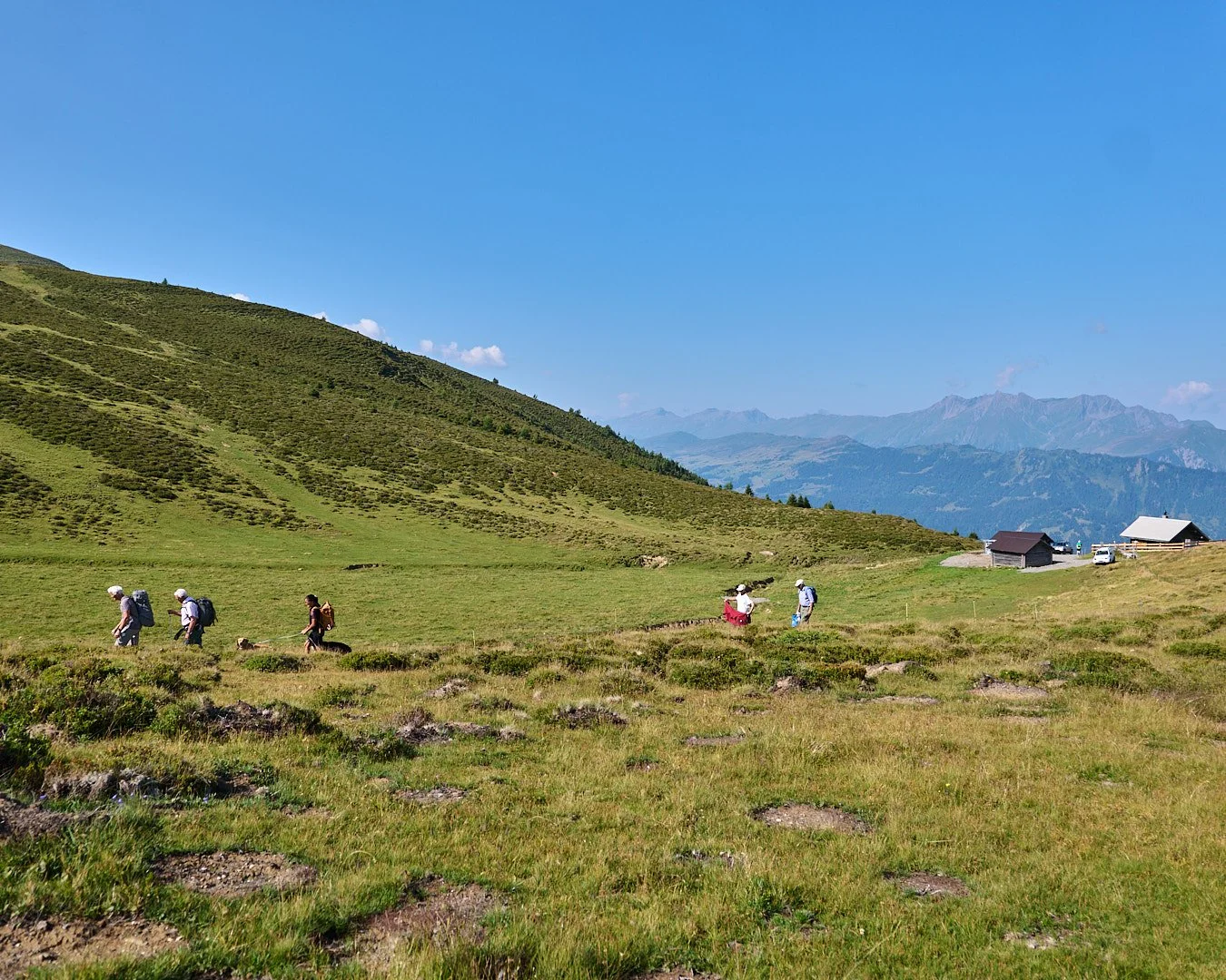 Dreibündenstein_1_August20260801_CJP_L1110762_.jpg