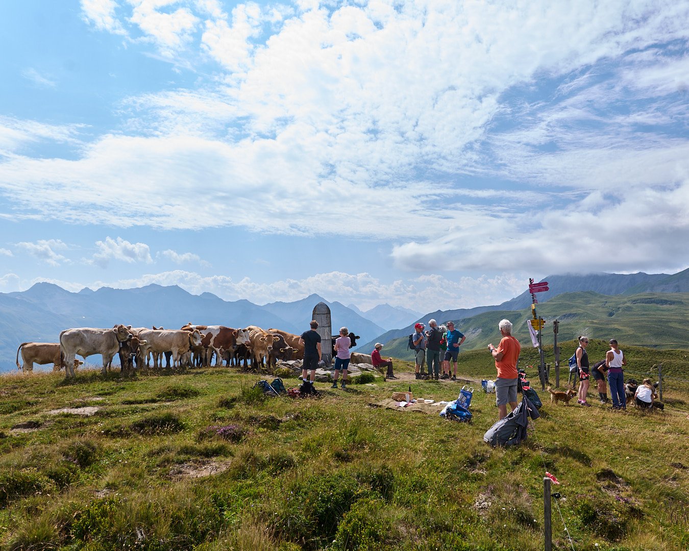Dreibündenstein_1_August20260801_CJP_L1110910_.jpg
