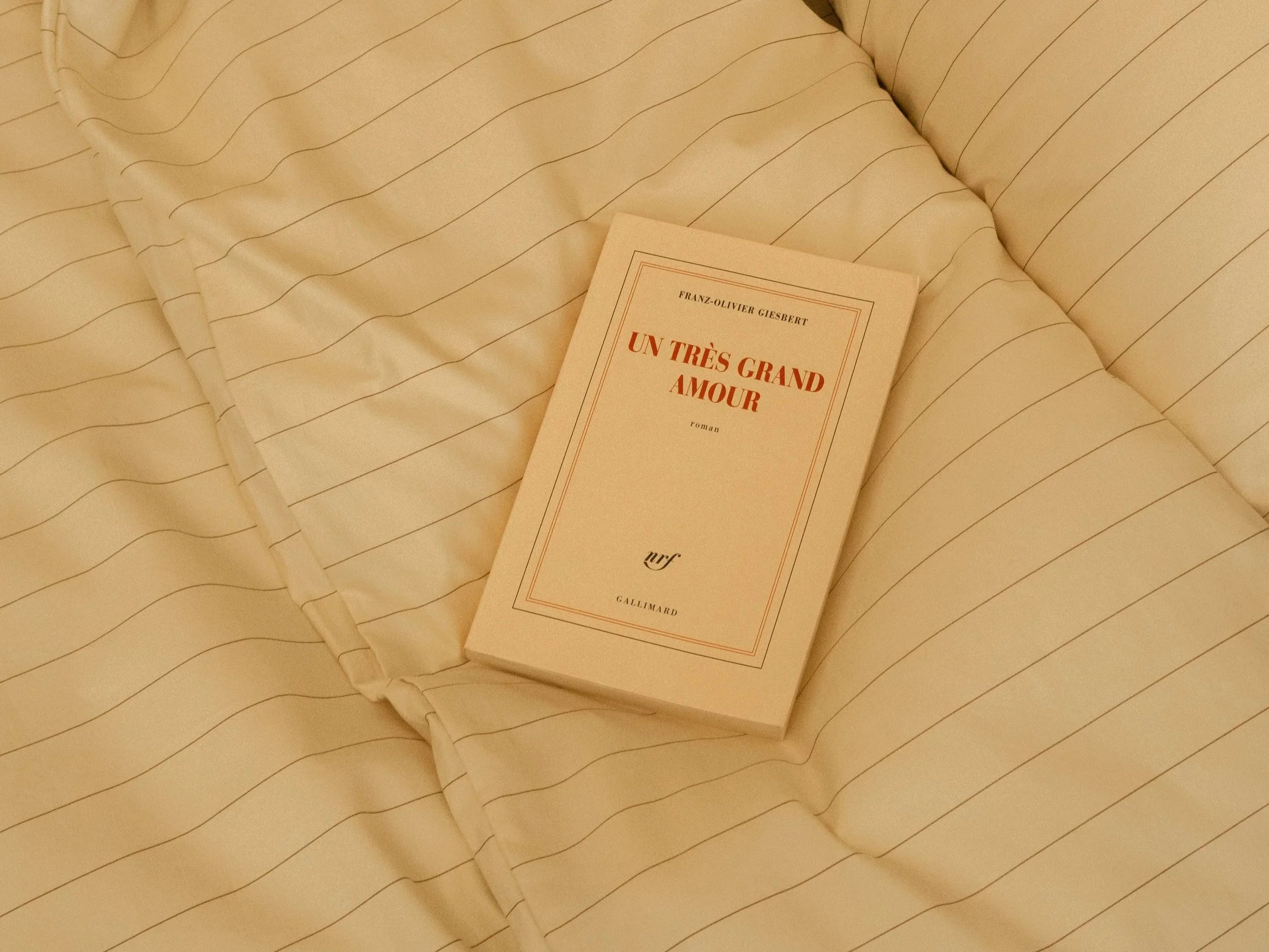 Un livre intitulé "Un très grand amour" repose sur un lit ou canapé avec un drap à rayures fines. Le livre est posé à plat, image prise de dessus.