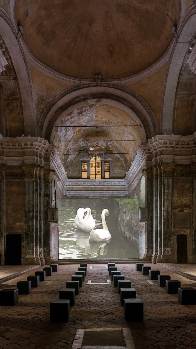Une salle ancienne avec un plafond voûté et un écran affichant deux cygnes nageant dans l'eau. Il y a des sièges noirs alignés sur le sol en pierre.