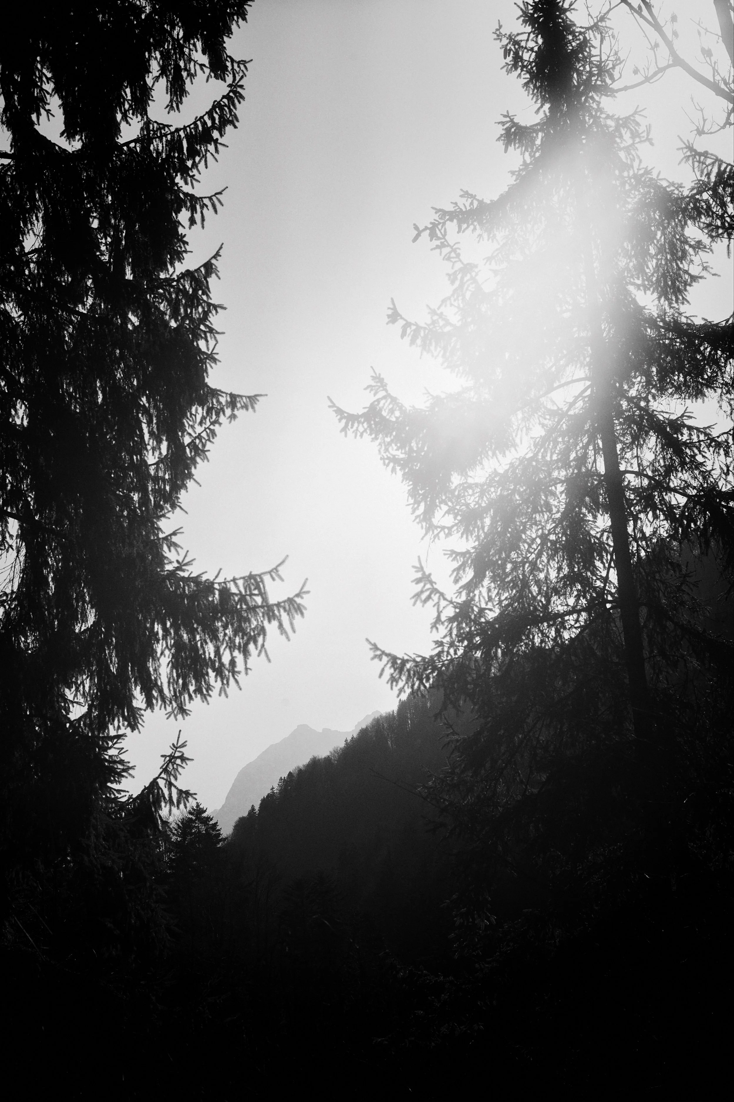 Bavaria