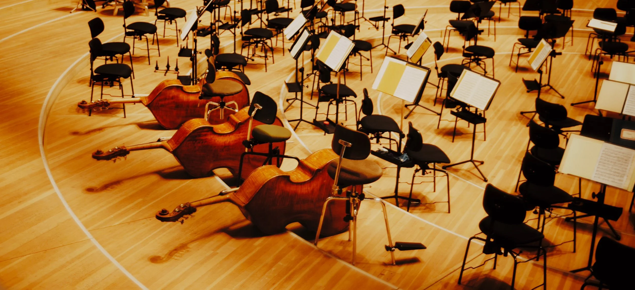 Before the Show starts