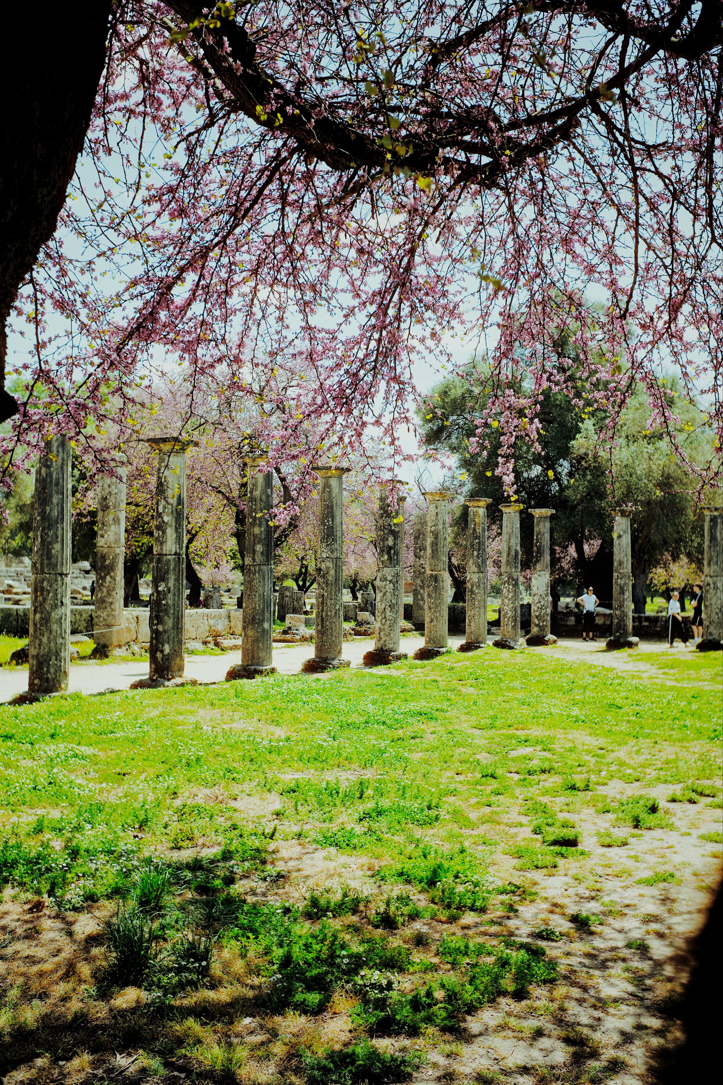 Olympia