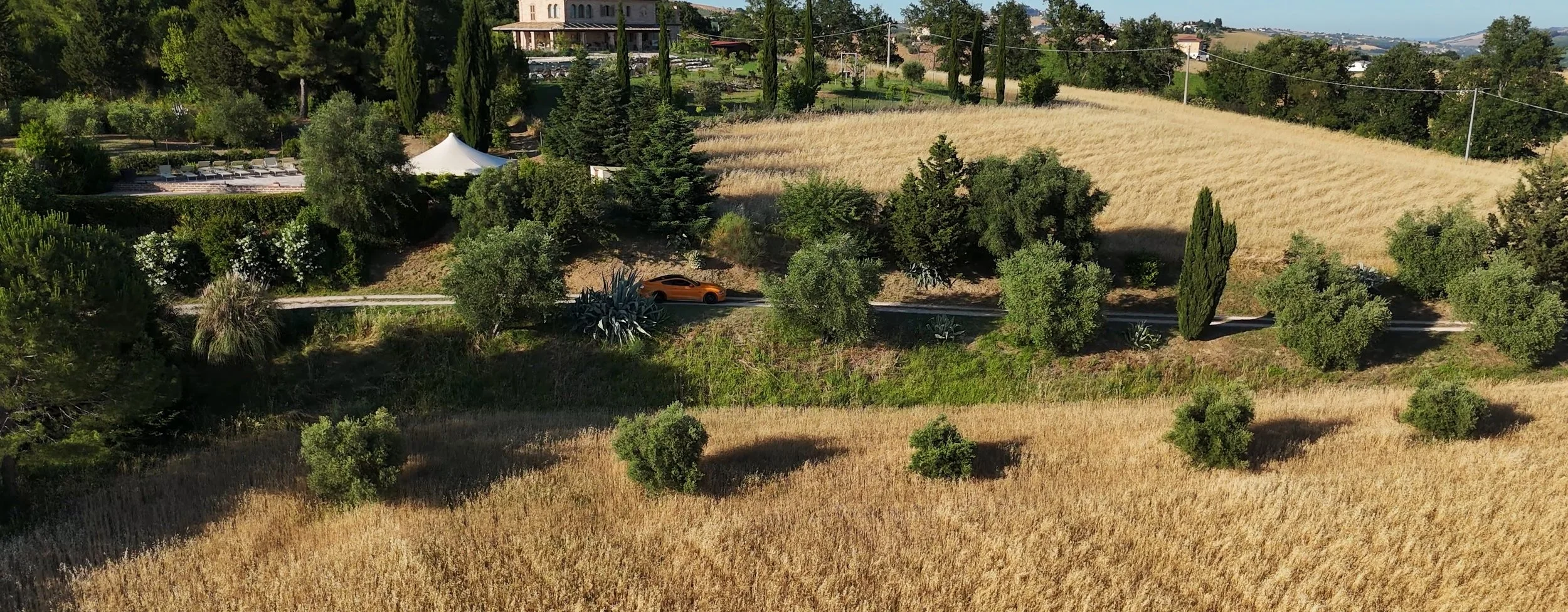 Fallback Drone_1.4.1.jpg