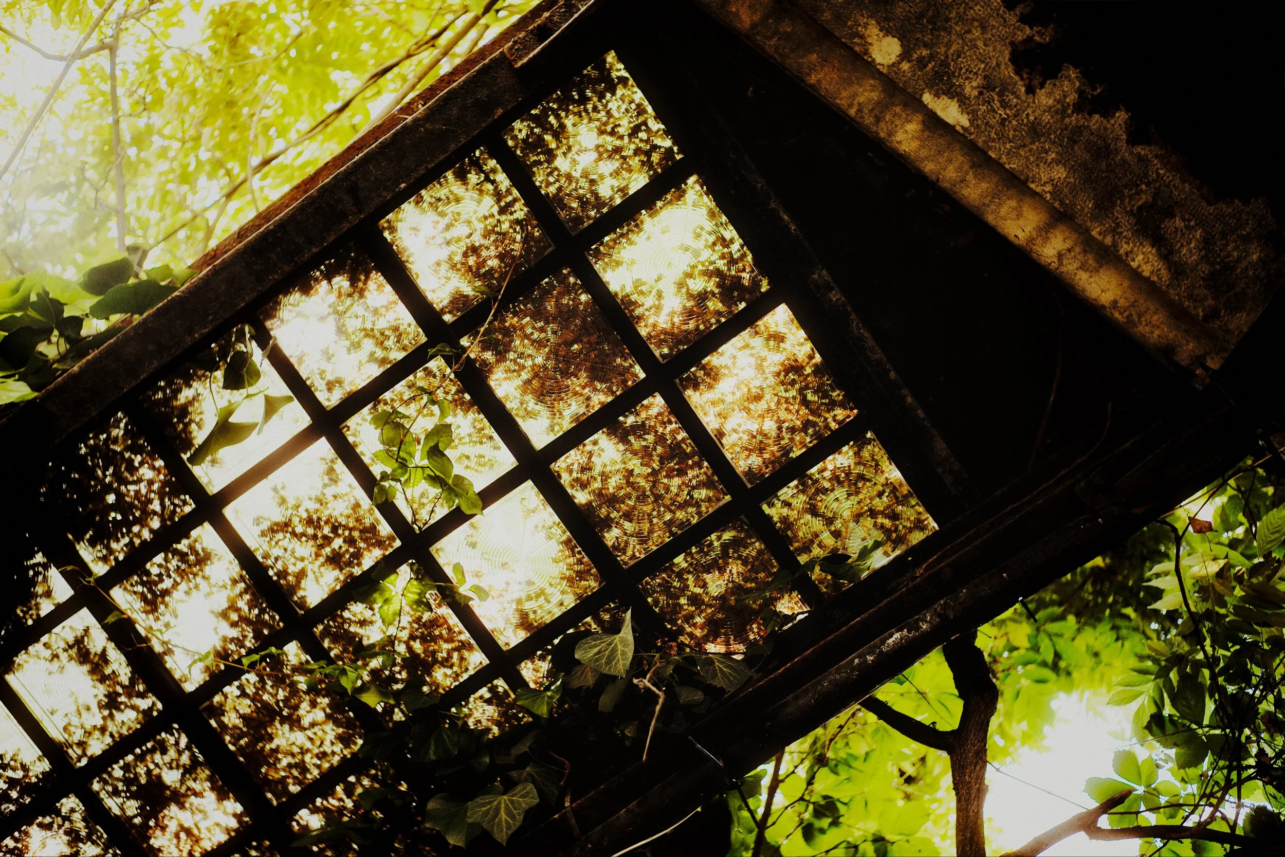 Light