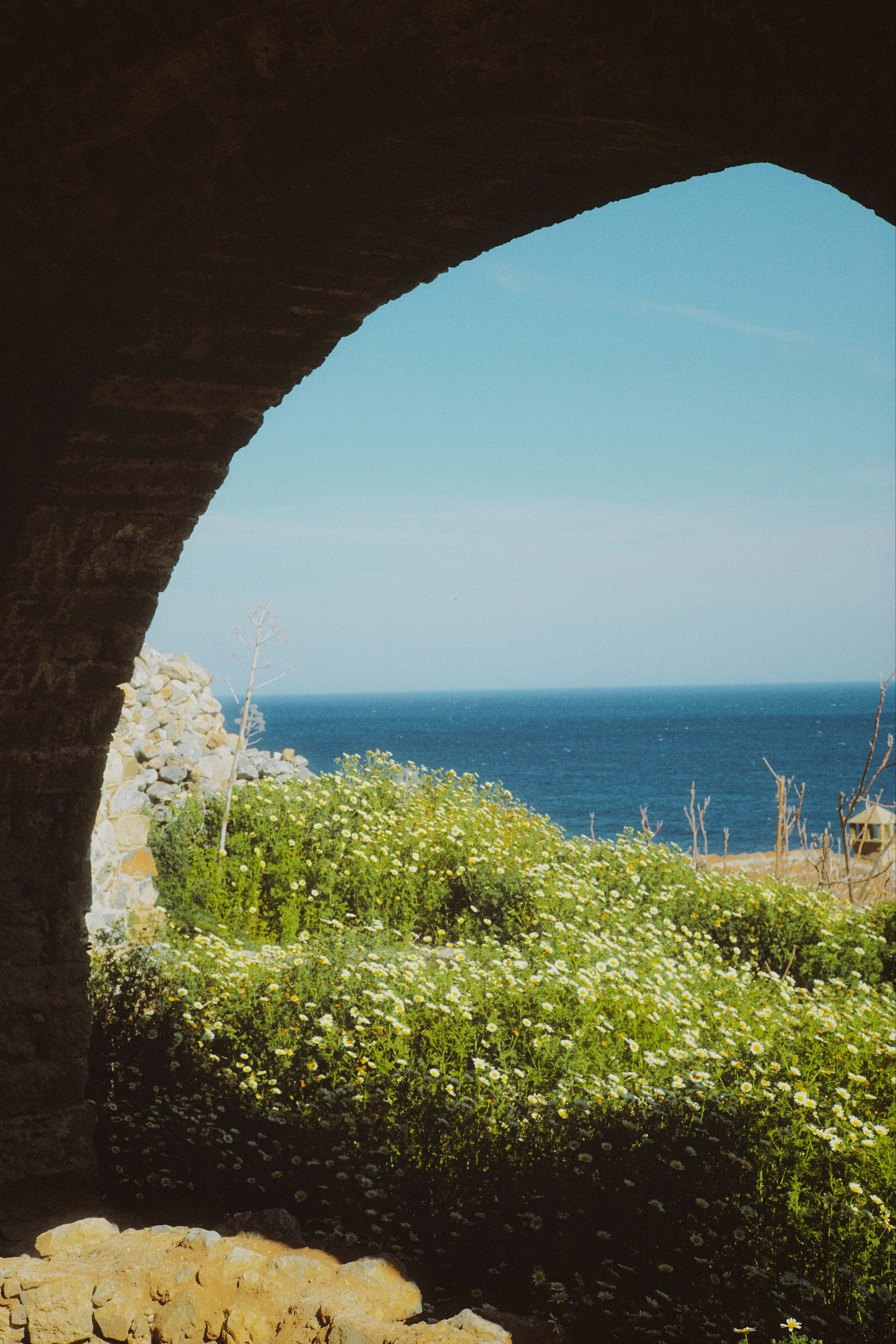 Window