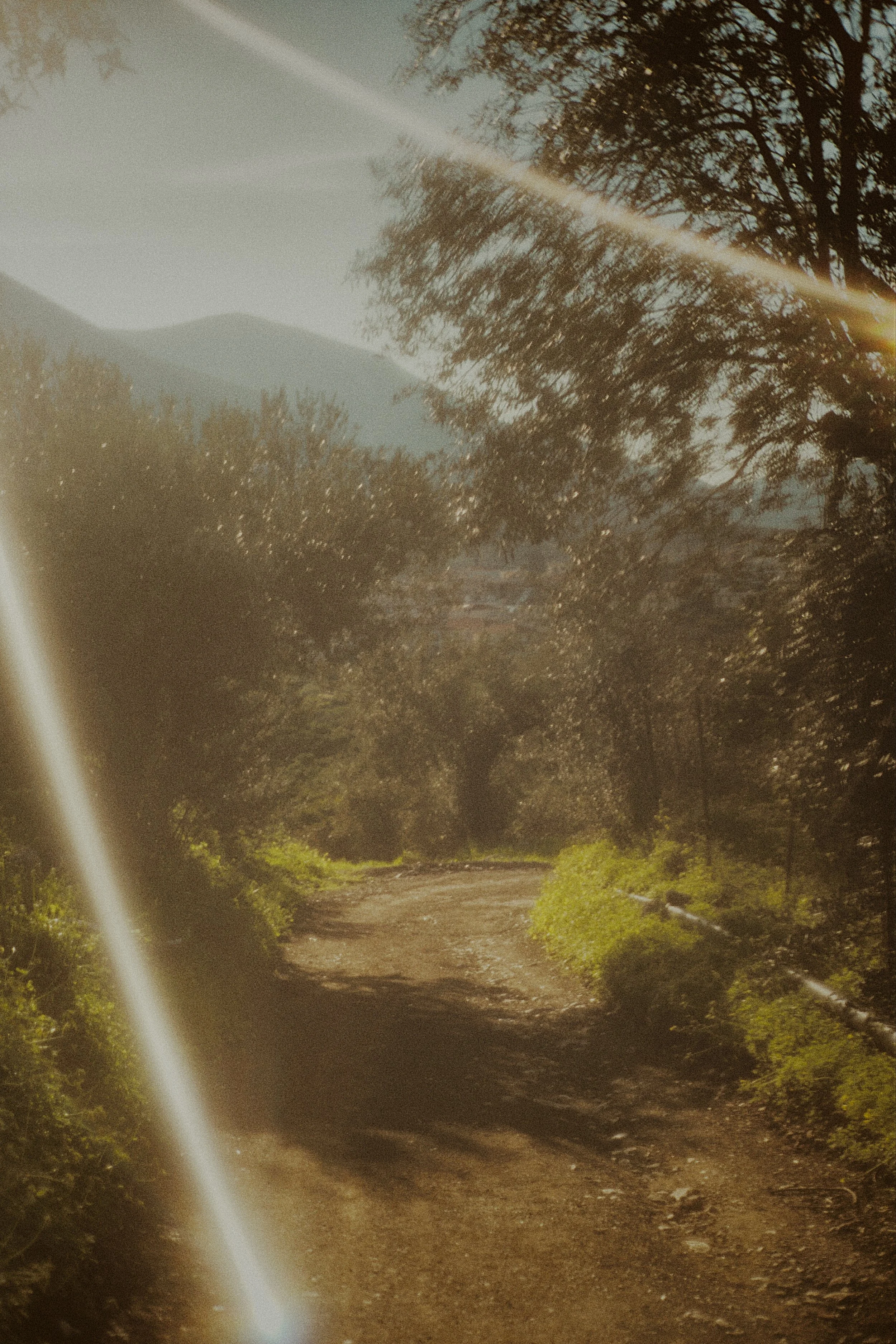 Lightflare in Fields