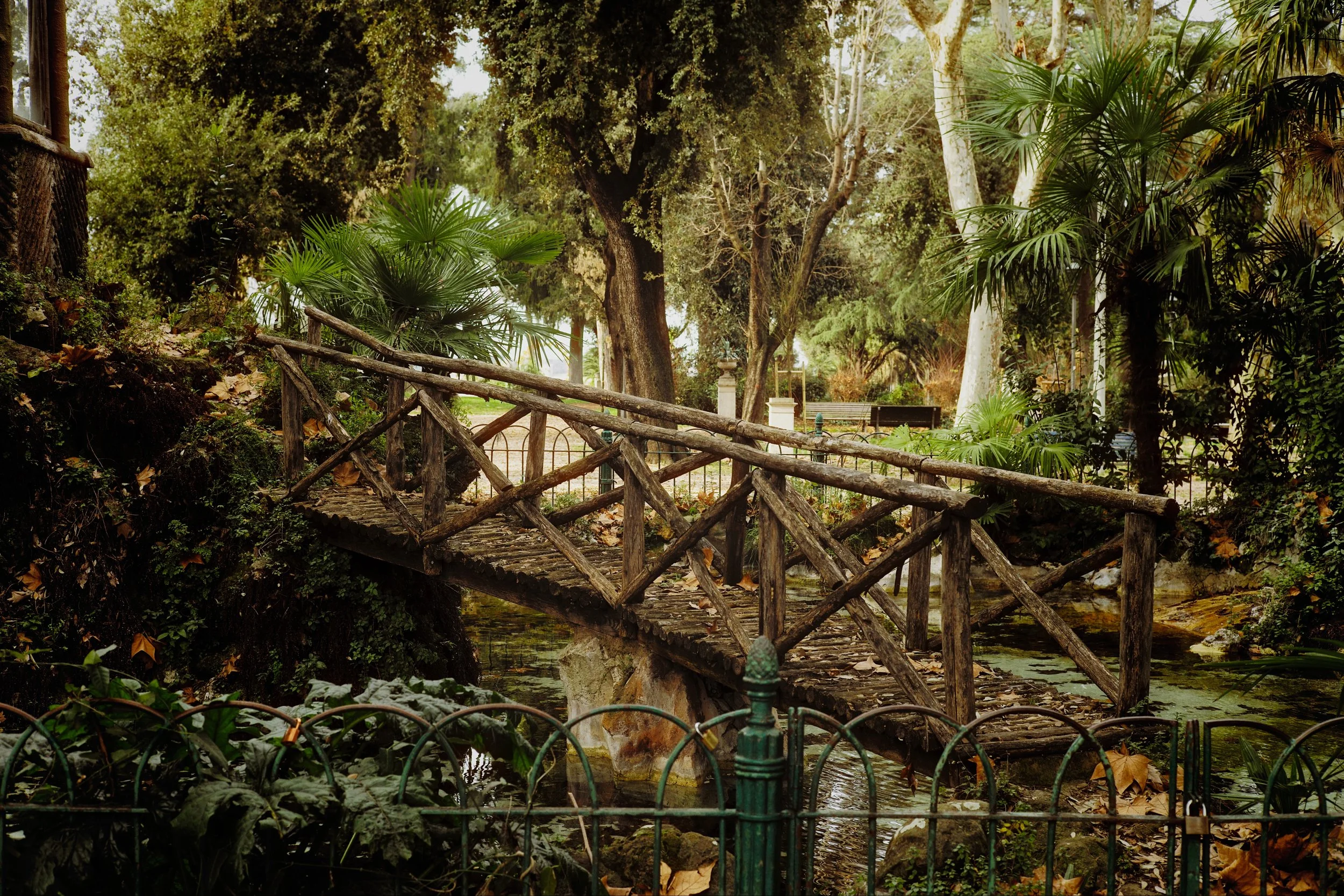 Bridge at Garden