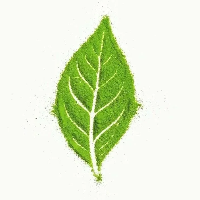 Our Best. 産地賞 Award Winning Tea Region. 100% Organic Ceremonial Kyushu: Matcha- Volcano Soil - JAS organic- First Flush 1kg- Available on Feb 2026