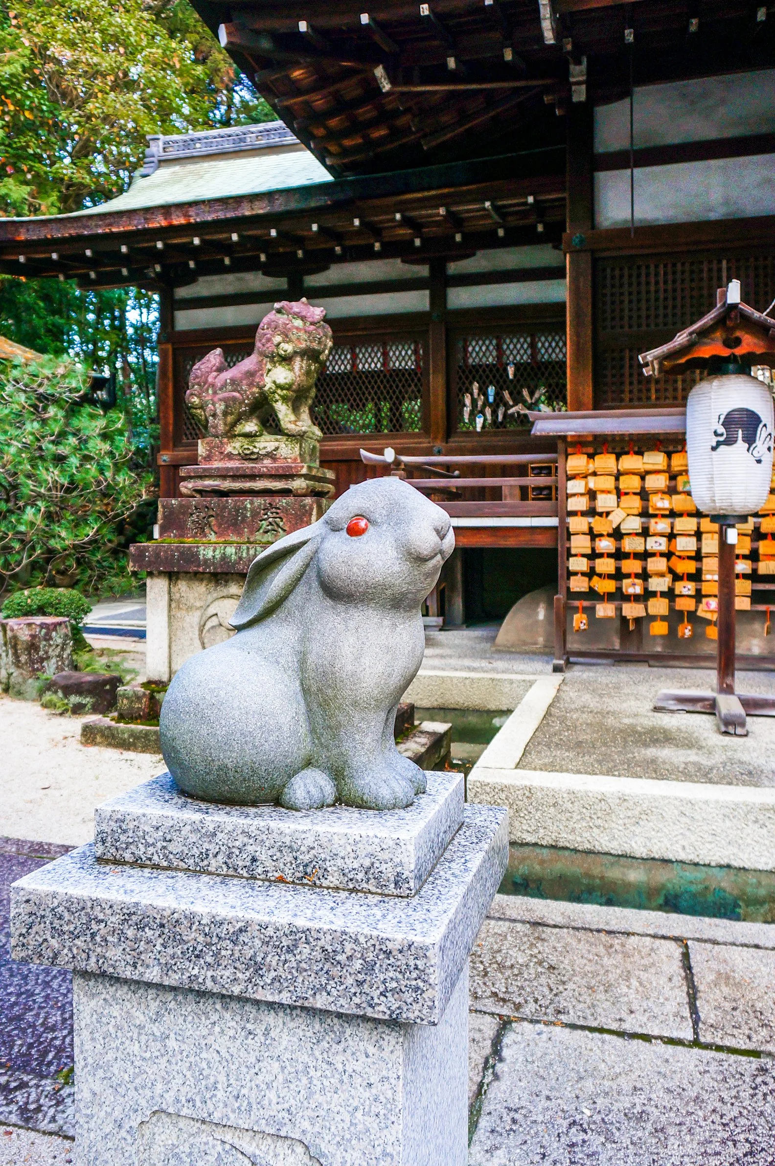 Uji Town of the Rabbit: 2026 June arrival: Uji Ceremonial Grade 