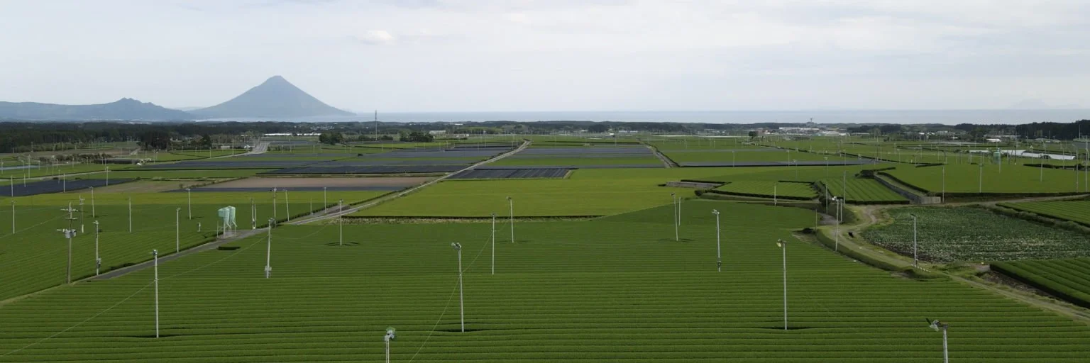 Kagoshima-Tea-Scenery-1-1536x512.jpg