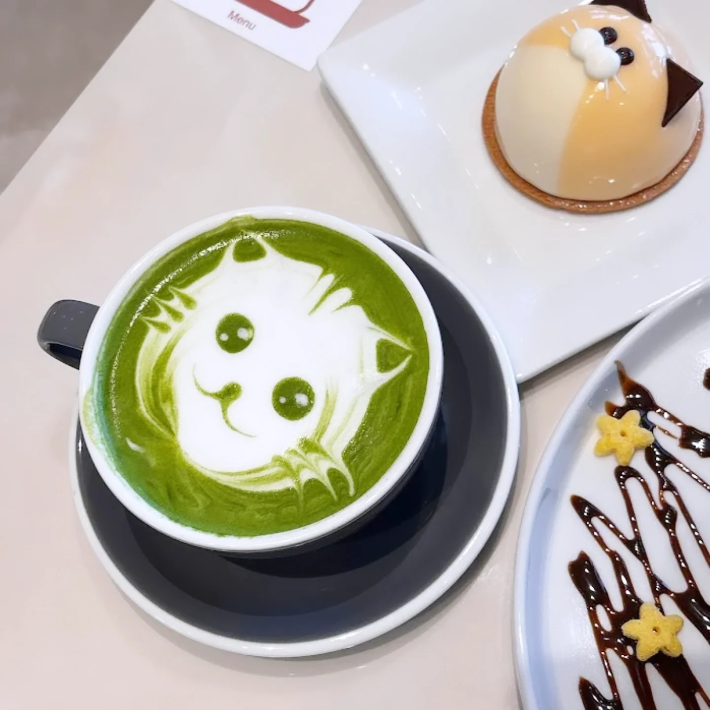 Cat cafe Matcha in Toronto 