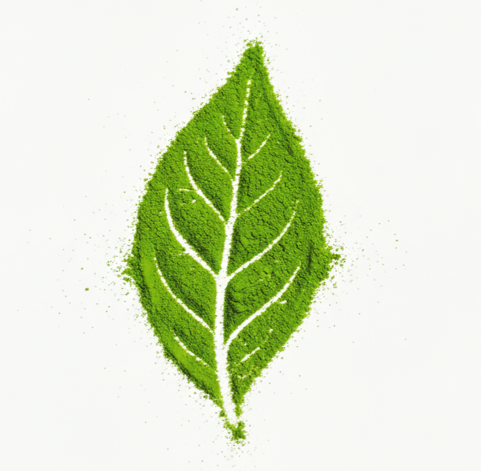 50g. Award Winning Tea Region. Eco Farmer Certification. Ceremonial Kyushu Matcha- Volcano Soil - JAS organic- First Flush