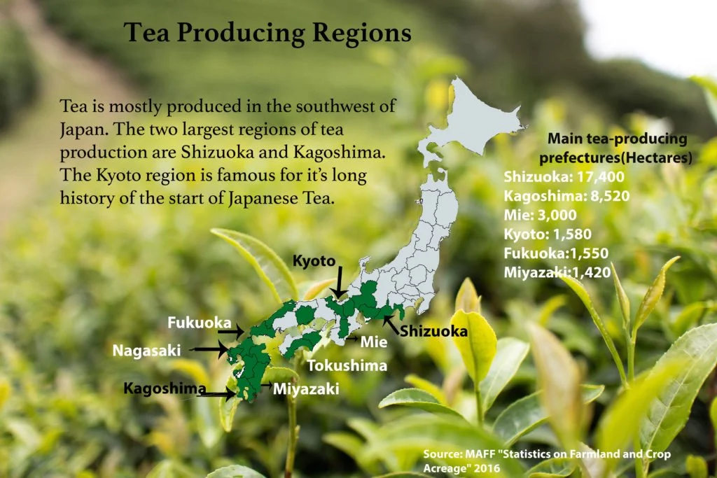 Map of Japan highlighting tea producing regions. The regions include Shizuoka, Kagoshima, Mie, Kyoto, Fukuoka, Miyazaki, Tokushima, Nagasaki, and Kagoshima with respective tea production figures. Background shows green tea plants.