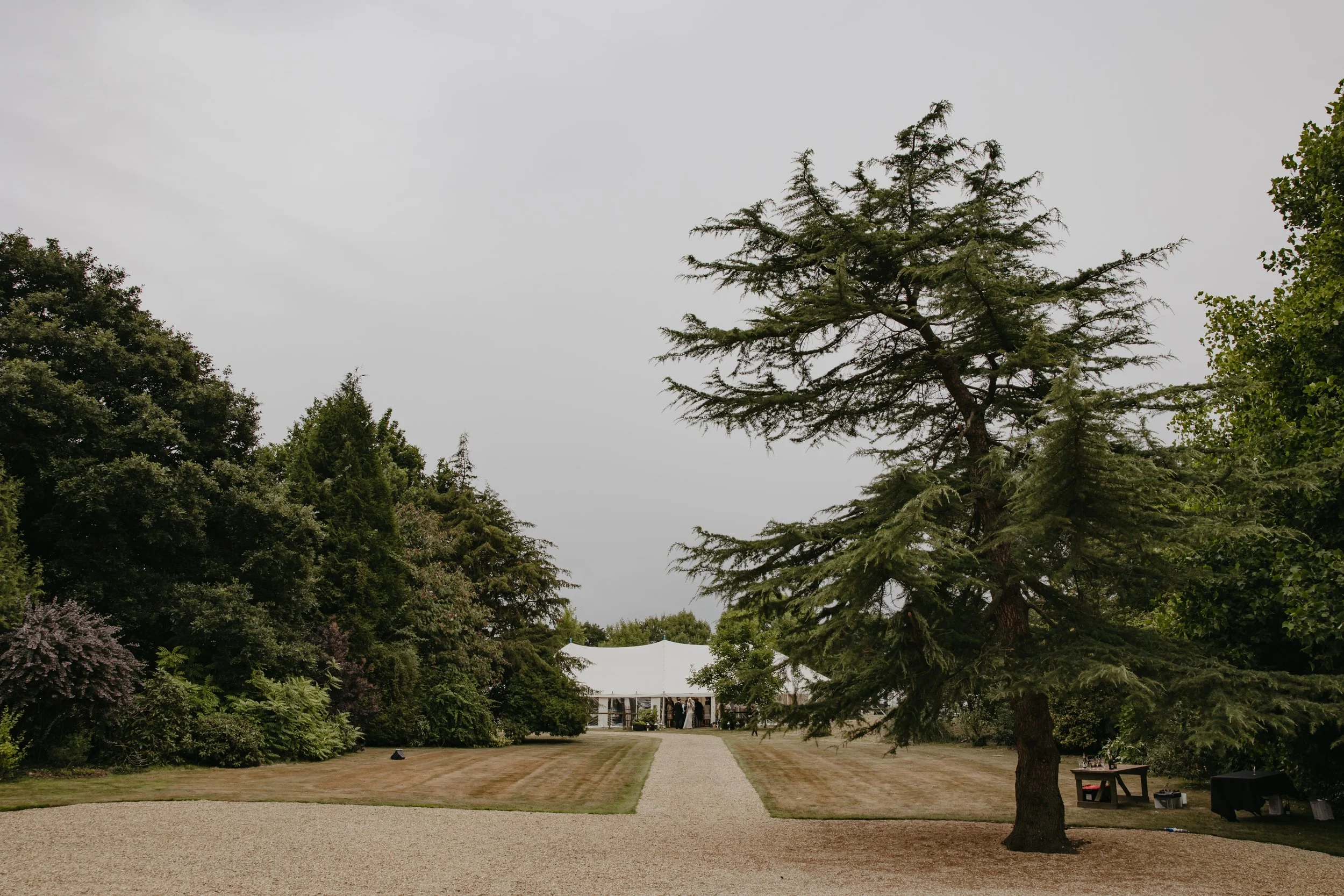 Our Wedding - High Res-534.jpeg