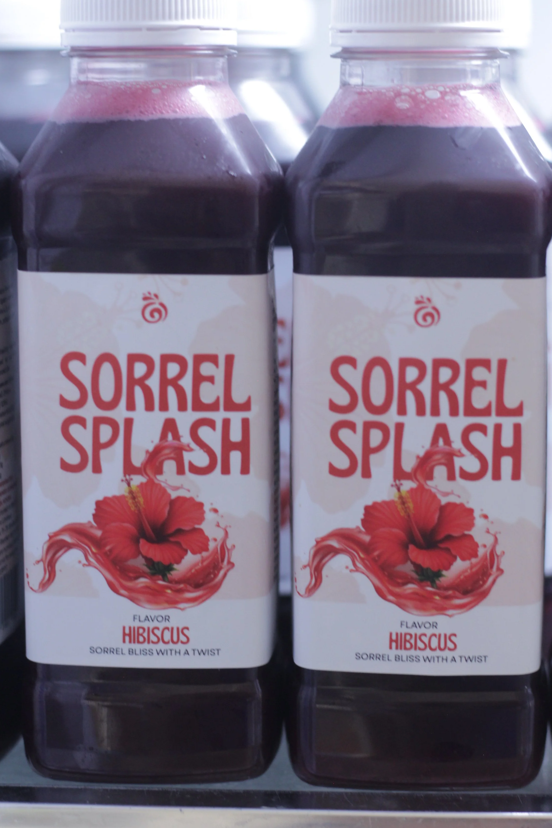 hibiscus flower & ginger