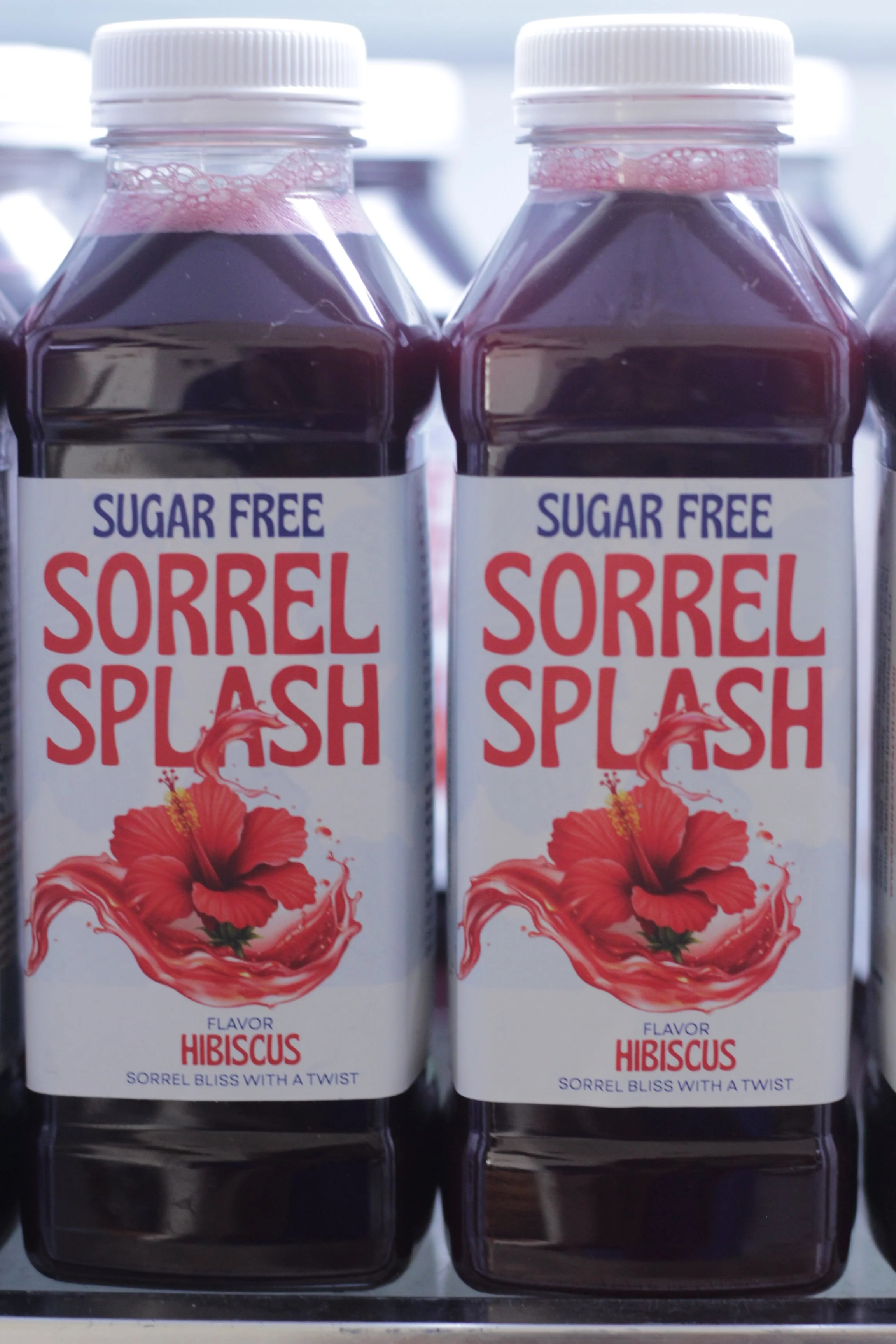 sugar free - hibiscus flower & ginger