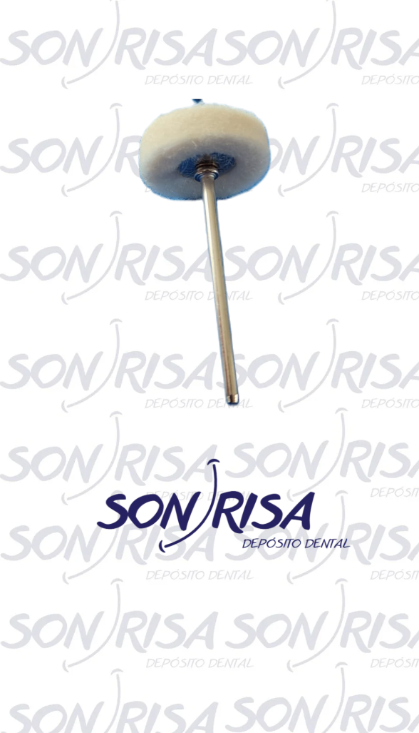 Captura de pantalla 2025-12-11 190812.png