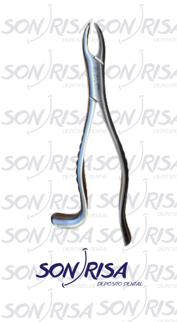 Forcep Adulto 18r