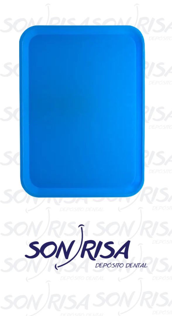 Captura de pantalla 2025-12-13 142643.png