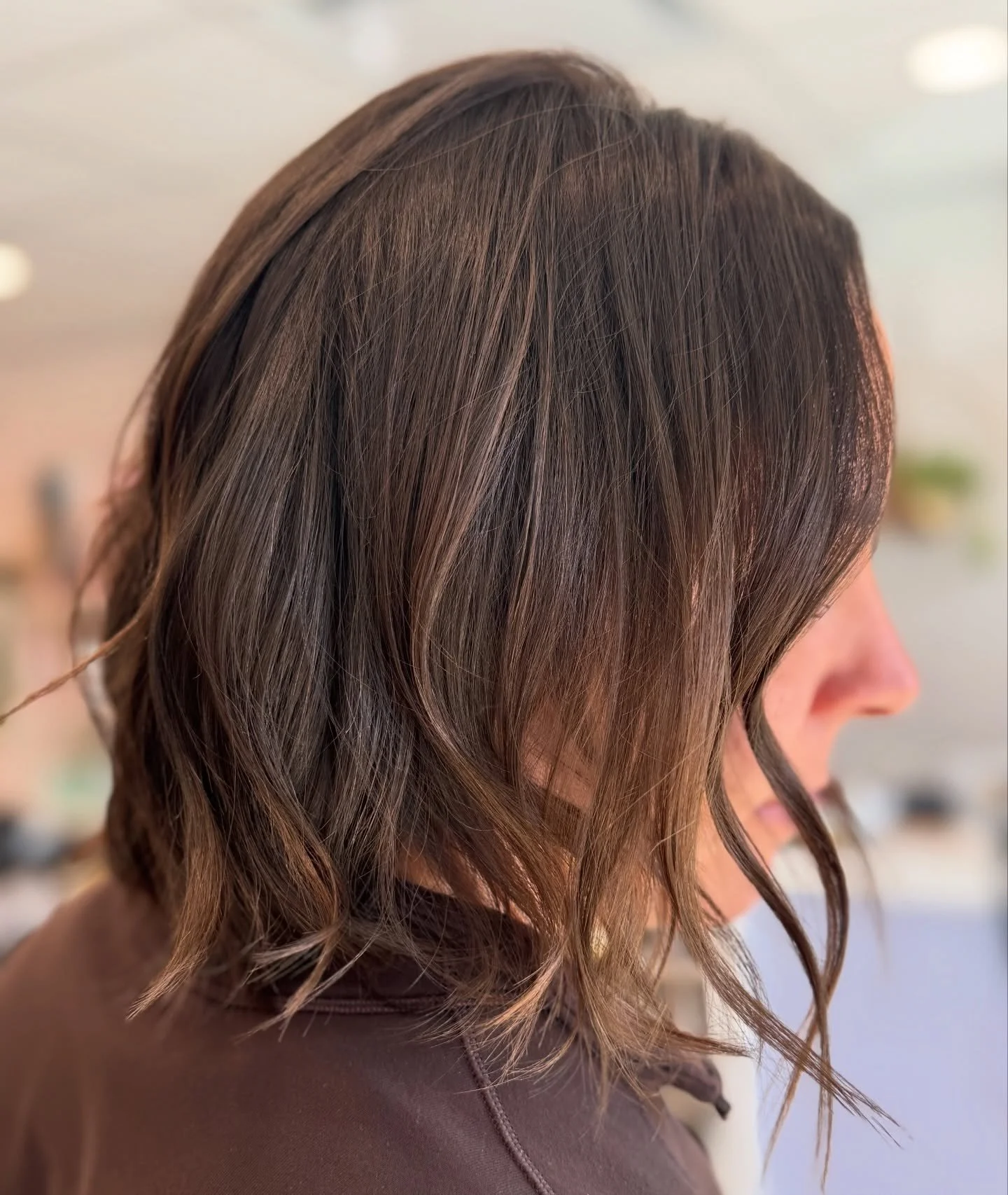 She&rsquo;s officially left the blonde life behind&hellip; hello rich, glossy brunette 🤎 🐻 ✨ 

Hair by Hilary @hairbyhilaryhoward 

#plushingtonbeautybar #brunette #shadeseq #blondetobrunette